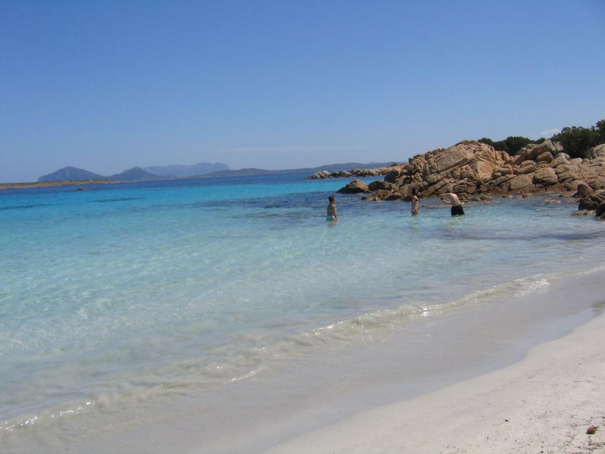Bilocale Ginestre - Costa Smeralda Abbiadori Eksteriør bilde